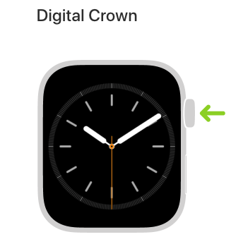 Digital Crown.png