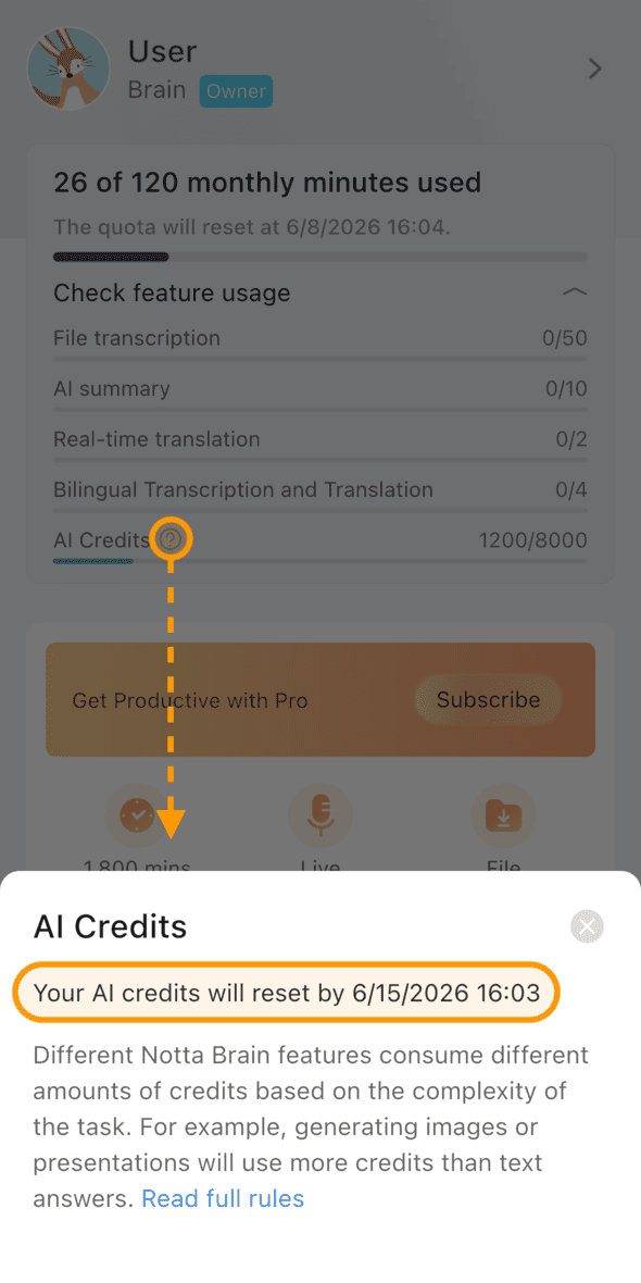 ai-credits-usage-app-en-02.png